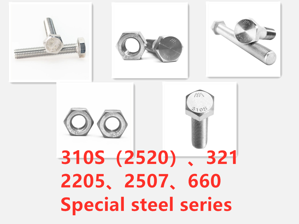 310S（2520）、321、2205、2507、660 Special steel series